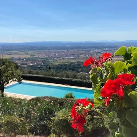 Agriturismo Cima Alla Serra Buti Exteriér fotografie