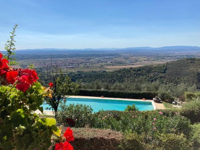 Agriturismo Cima Alla Serra Buti Exteriér fotografie