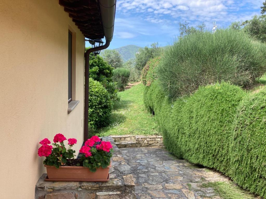 Agriturismo Cima Alla Serra Buti Exteriér fotografie
