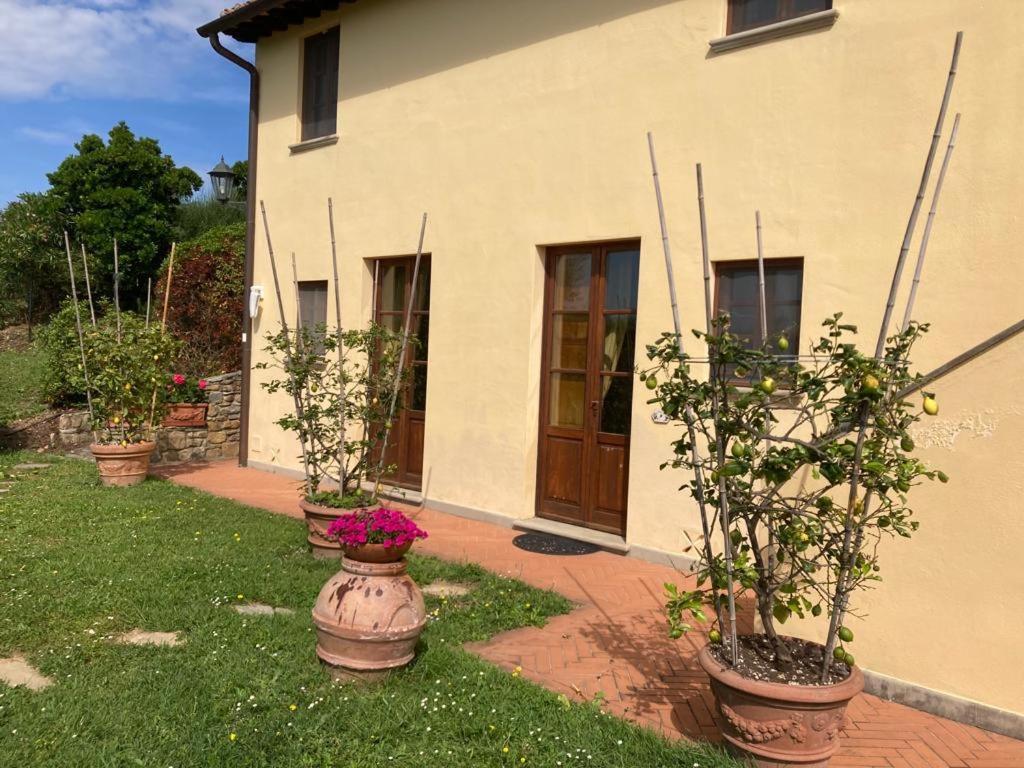 Agriturismo Cima Alla Serra Buti Exteriér fotografie
